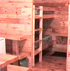 Cabin beds